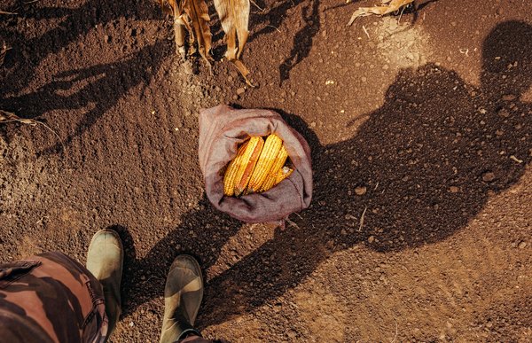 The Ultimate Guide to Choosing the Ideal Tote Bag for Your Laptop and Work Essentials